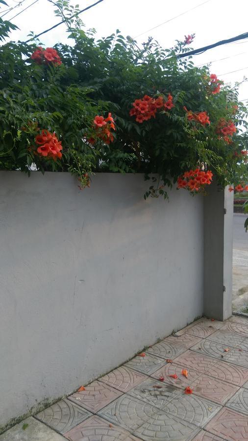 Hoang Dat Hotel Ðồng Hới Luaran gambar